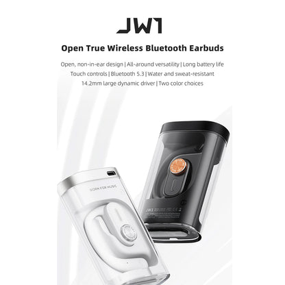Audifonos Fiio JW1  Bluetooth True Wireless