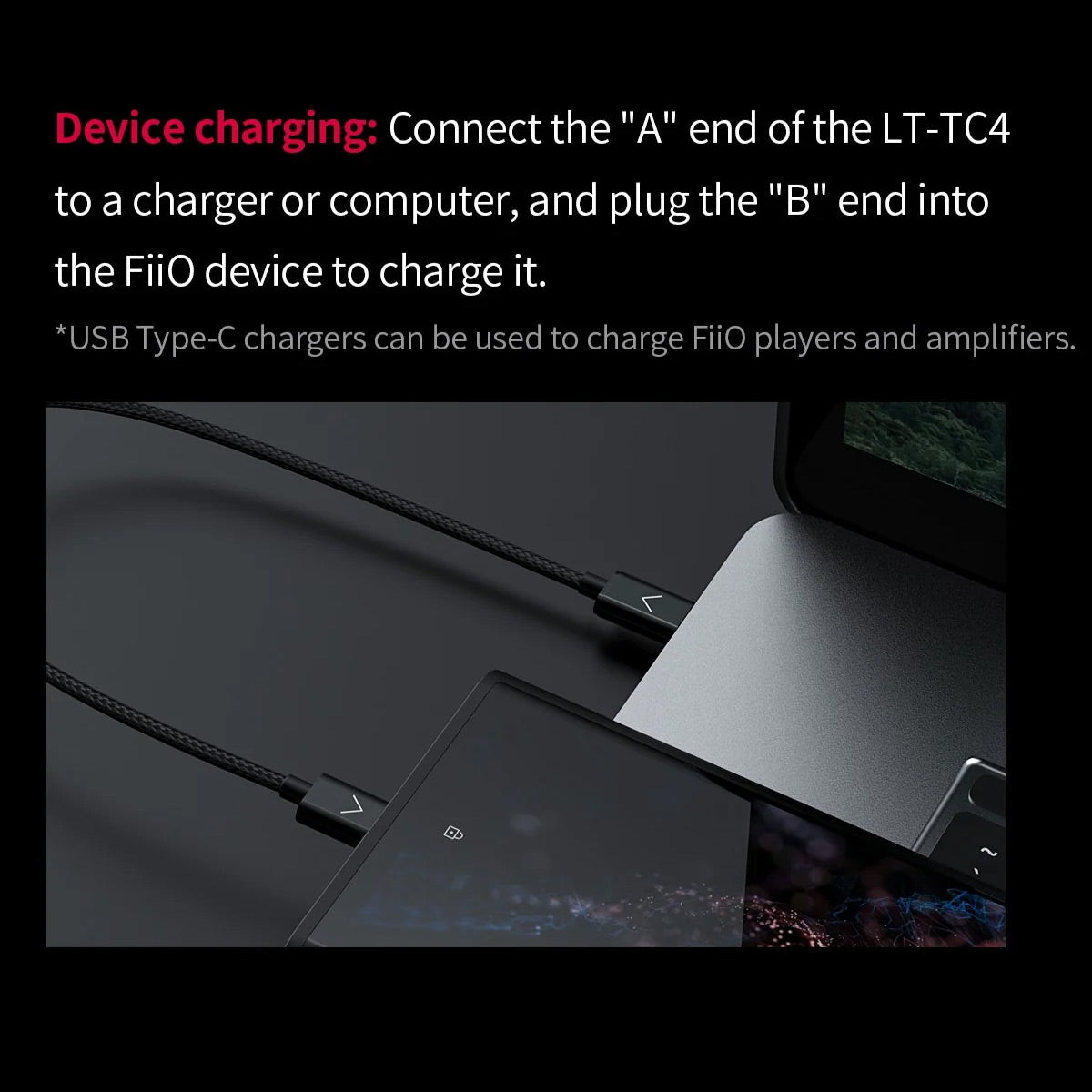 Fiio Lt - TC4 Cable USB C a USB C